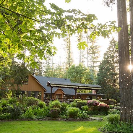 Eagle Rock Lodge Vida Kültér fotó